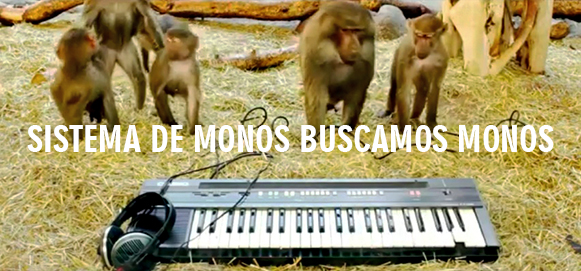 Sistema de Monos buscamos monos